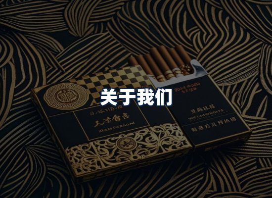 关于我们